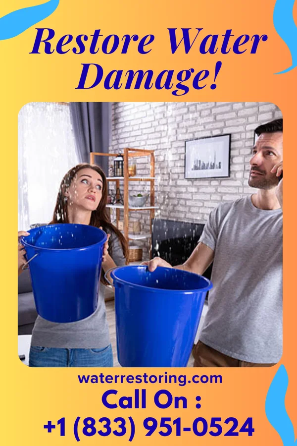 water restoration Platinum Damage Restoration Team Pajarito Mesa